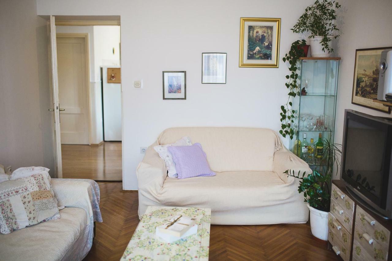 שיבניק Apartment Ema מראה חיצוני תמונה